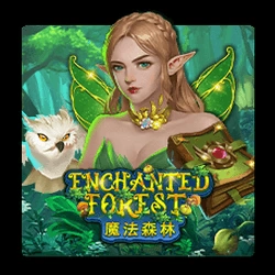 Enchanted Forest