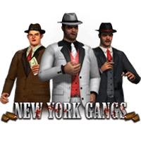 New York Gangs